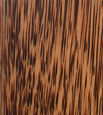 椰子平纹棕榈胶合板——NAUF
