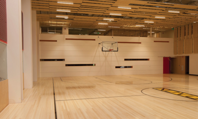 Novo建筑的篮球场，以PlybooSport为特色manbetx官网下载