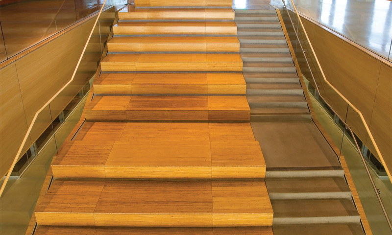大学楼梯采用胶合板和平纹琥珀胶合板manbetx官网下载